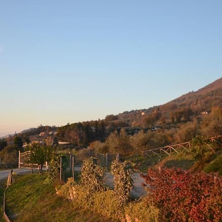 Locazione Turistica Villa Delle Rose Ασίζη Εξωτερικό φωτογραφία