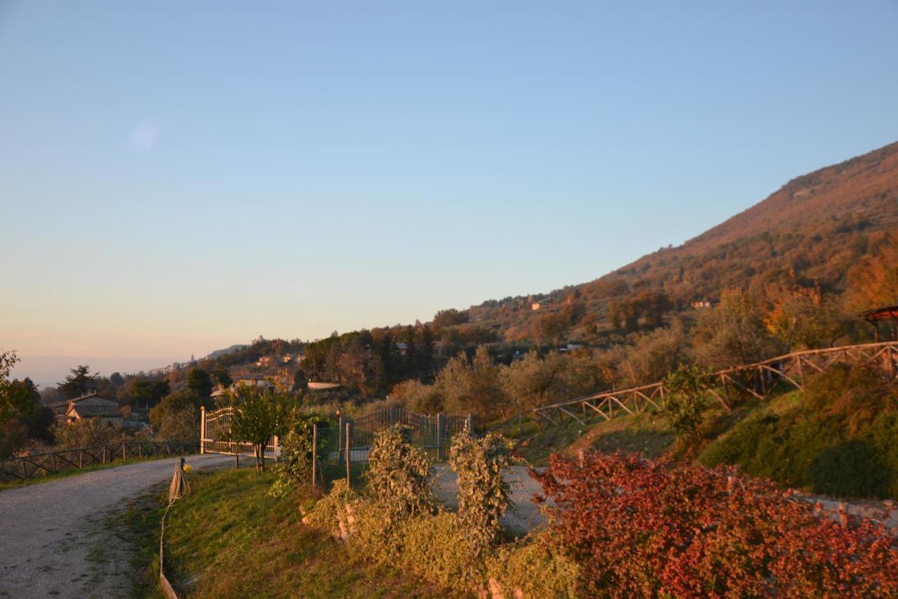 Locazione Turistica Villa Delle Rose Ασίζη Εξωτερικό φωτογραφία