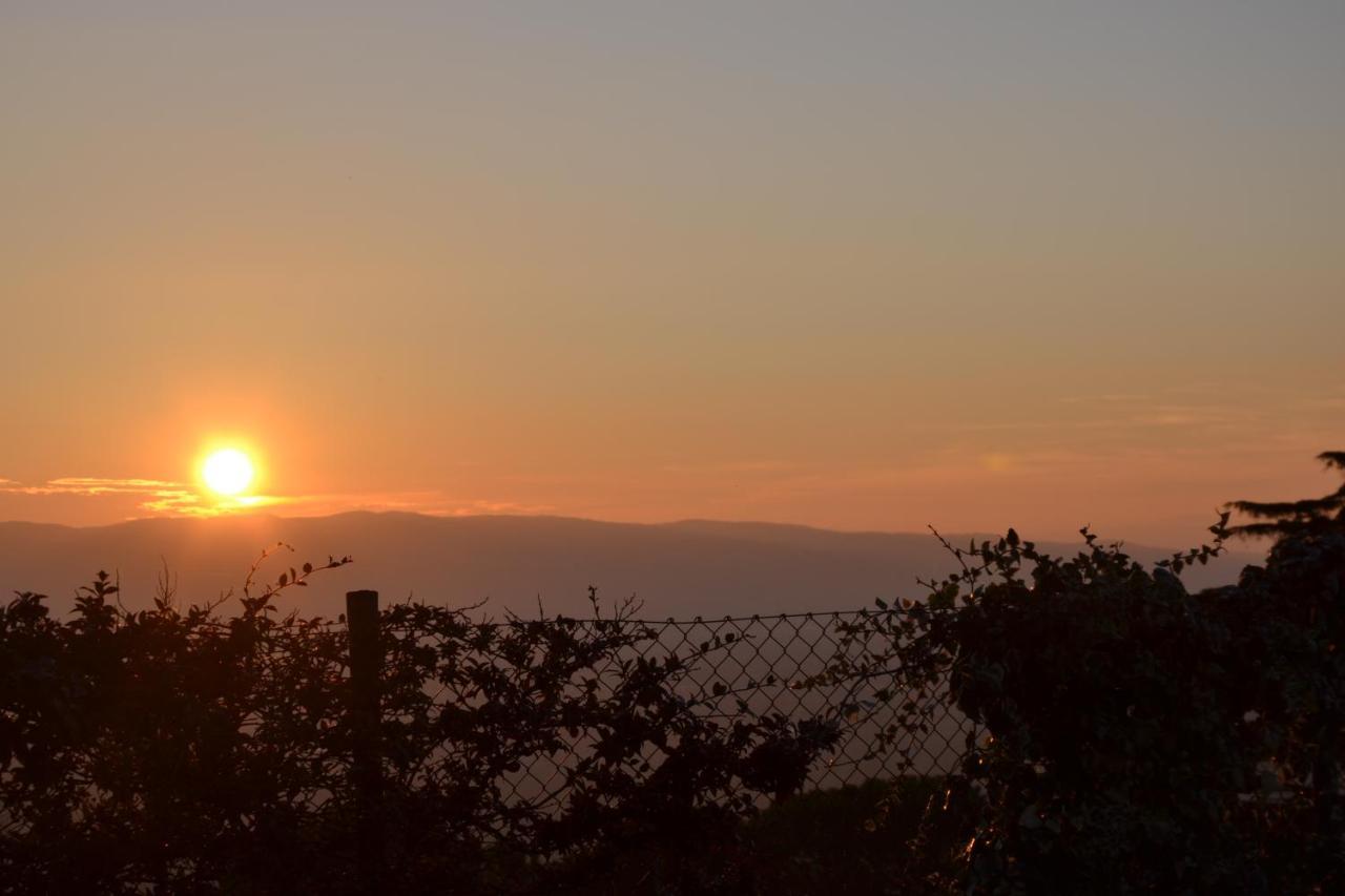 Locazione Turistica Villa Delle Rose Ασίζη Εξωτερικό φωτογραφία